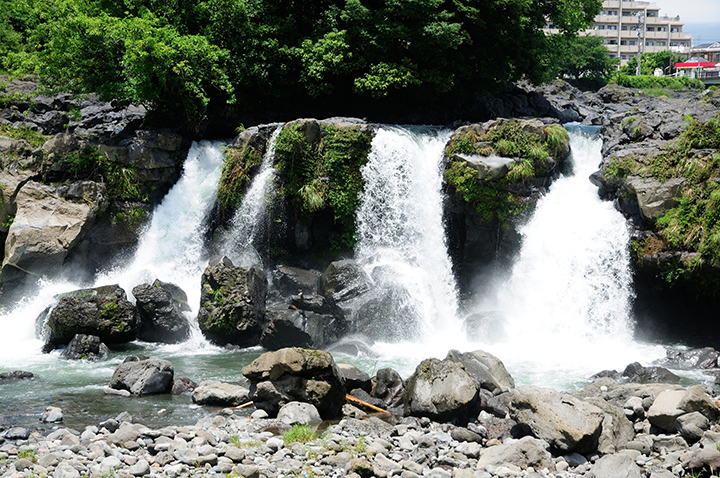 自然と文化が交差する町。静岡随一の子育て環境を誇る「長泉町」